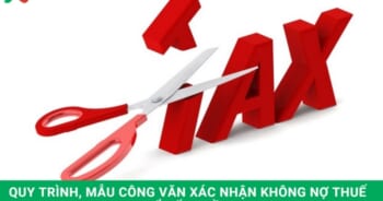 xác nhận không nợ thuế để đấu thầu