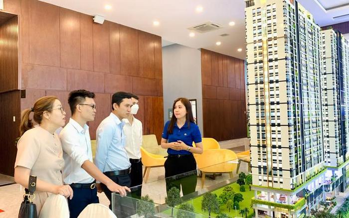 Mọi cá nhân, doanh nghiệp cần đáp ứng đủ các điều kiện hành nghề môi giới bất động sản để hành nghề hợp pháp
