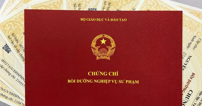 Chứng chỉ nghiệp vụ sư phạm toán là văn bằng cấp cho người đã tốt nghiệp đại học ngoài sư phạm chuyên ngành Toán để giảng dạy