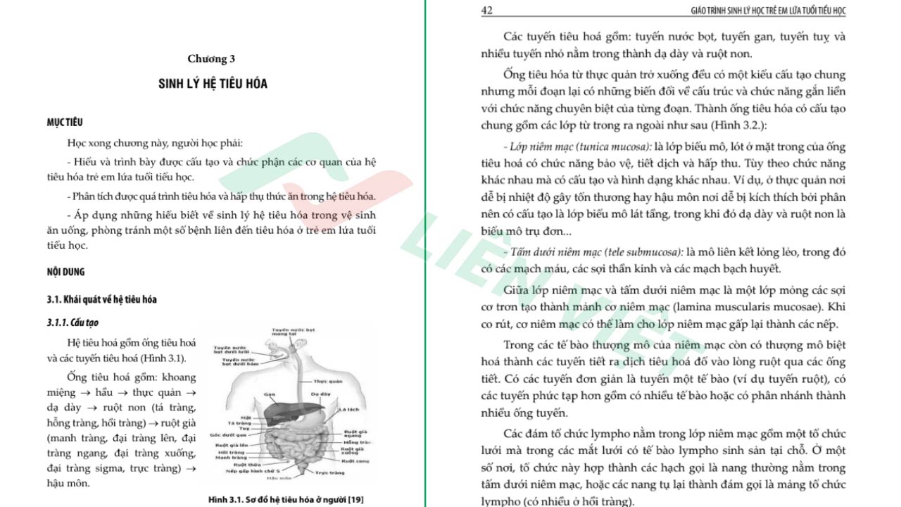 giáo trình sinh lý trẻ em lứa tuổi tiểu học