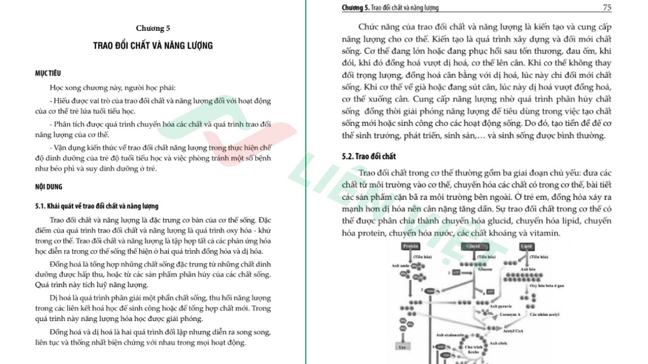 giáo trình sinh lý trẻ em lứa tuổi tiểu học