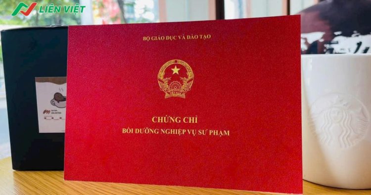 chứng chỉ nghiệp vụ sư phạm mỹ thuật
