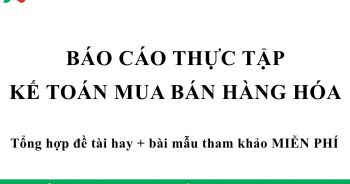 báo cáo thực tập kế toán mua bán hàng hóa
