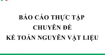 Tải mẫu báo cáo thực tập kế toán nguyên vật liệu miễn phí