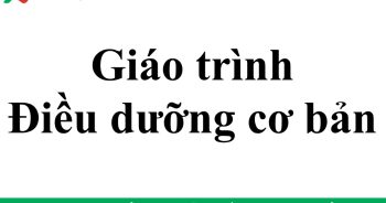 giáo trình Điều dưỡng cơ bản PDF