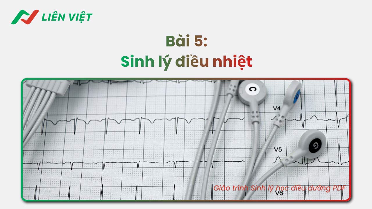 Sinh lý học điều dưỡng PDF
